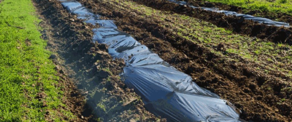 Heavy-duty agricultural sheeting used for soil fumigation